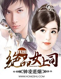 我的绝品女上司