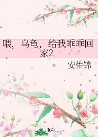 喂,乌龟,给我乖乖回家2