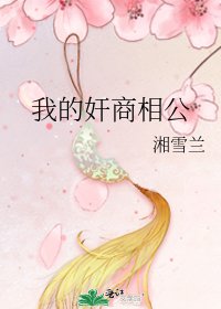 我的奸商相公