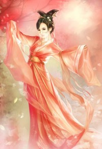 白蓮花上位史(簡體）